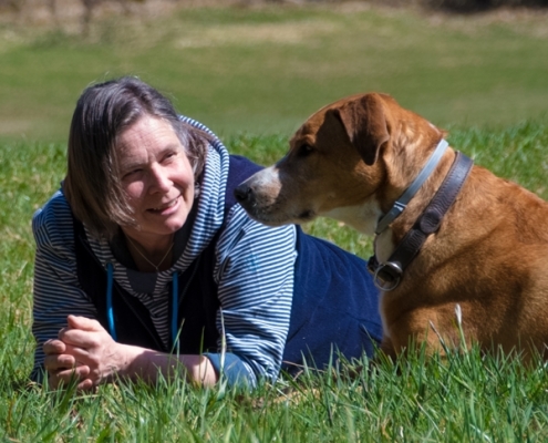 Hundetraining Dogwalking Marita Allweiler