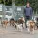 Marcel Schlief mit vielen Hunden