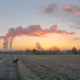 Hund steht auf einem Feld vor dem Rauch aus Fabrikschloten im Abendlicht