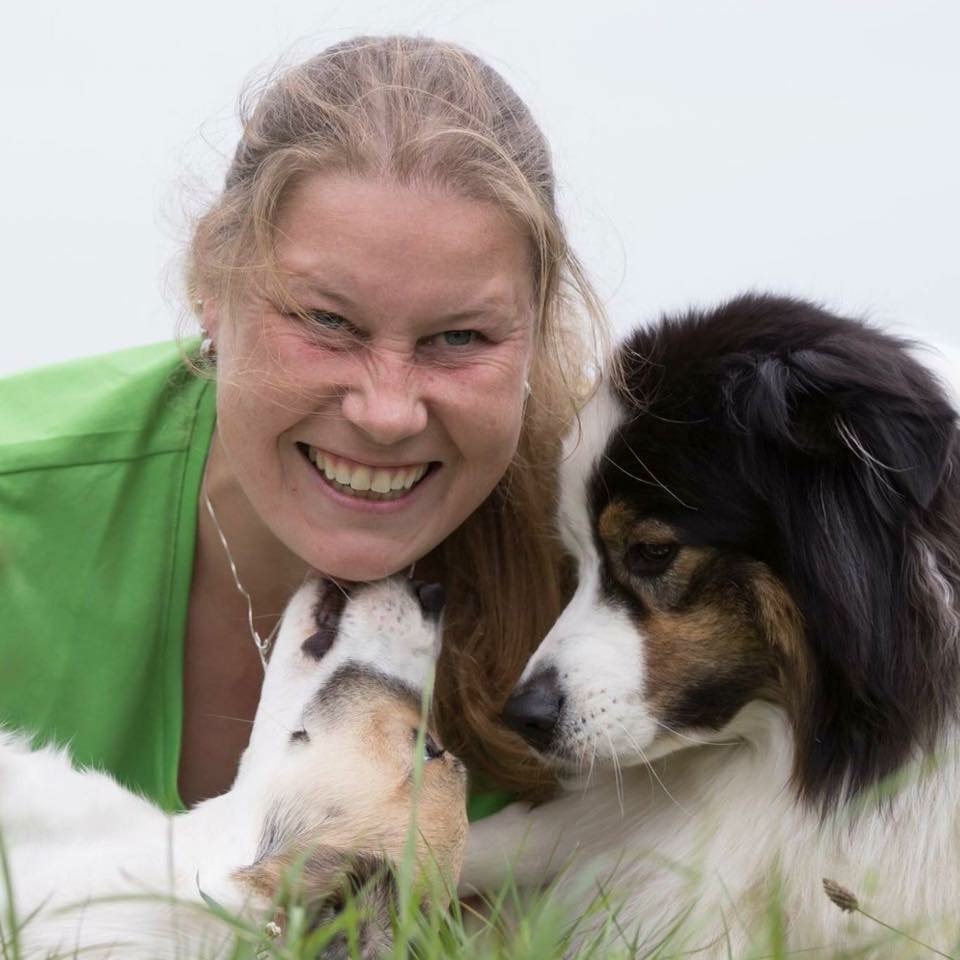 Team Projekt Vielfalt - KynoLogisch