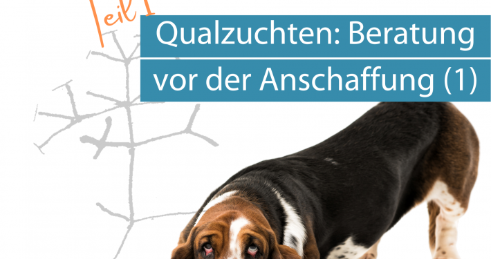 Qualzucht Beratung 1