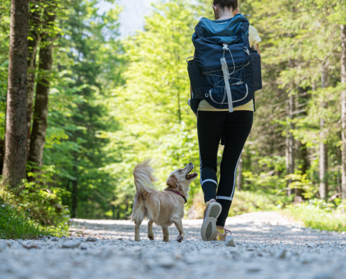 Eine junge Frau wandert mit ihrem Hund durch den Wald