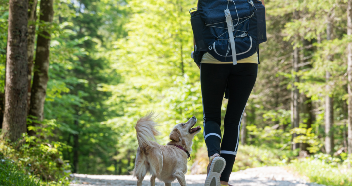 Eine junge Frau wandert mit ihrem Hund durch den Wald