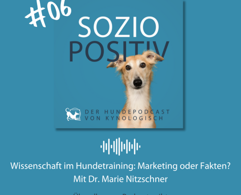 Eine blaue Bildkachel mit einem braunen Windhund, der fragend und offen in die Kamera schaut. Dazu der Text: #06 Soziopositiv Der Hundepodcast von KynoLogisch Wissenschaft im Hundetraining: Marketing oder Fakten? Mit Dr. Marie Nitzschner Überall, wo es Podcasts gibt