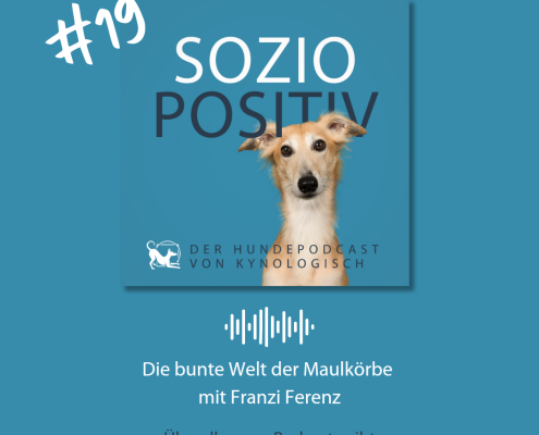 Eine blaue Bildkachel, darauf ein blonder, windhundartiger Hund, der den Kopf fragend schiefgelegt hat und aufmerksam in die Kamera schaut. Text: #19 Soziopositiv - der Hundepodcast von KynoLogisch Die bunte Welt der Maulkörbe mit Franzi Ferenz Überall, wo es Podcasts gibt