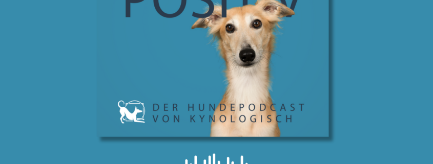 Eine blaue Bildkachel, darauf ein blonder, windhundartiger Hund, der den Kopf fragend schiefgelegt hat und aufmerksam in die Kamera schaut. Text: #19 Soziopositiv - der Hundepodcast von KynoLogisch Die bunte Welt der Maulkörbe mit Franzi Ferenz Überall, wo es Podcasts gibt