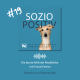 Eine blaue Bildkachel, darauf ein blonder, windhundartiger Hund, der den Kopf fragend schiefgelegt hat und aufmerksam in die Kamera schaut. Text: #19 Soziopositiv - der Hundepodcast von KynoLogisch Die bunte Welt der Maulkörbe mit Franzi Ferenz Überall, wo es Podcasts gibt