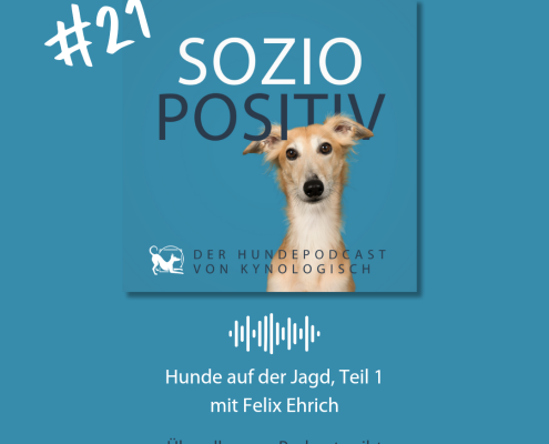 Titelbild der Soziopositiv-Podcastfolge 21: Ein blonder Windhund vor dem Logo von KynoLogisch, darunter steht: Hunde auf der Jagd, Teil 1: mit Felix Ehrich