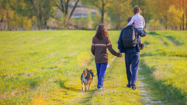Hunde Gesellschaft