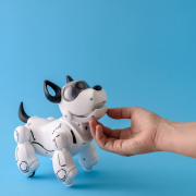 Eine menschliche Hand streichelt einen kleinen schwarz weißen Roboterhund, der an einen Terrier erinnert.