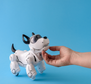 Eine menschliche Hand streichelt einen kleinen schwarz weißen Roboterhund, der an einen Terrier erinnert.