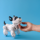 Eine menschliche Hand streichelt einen kleinen schwarz weißen Roboterhund, der an einen Terrier erinnert.