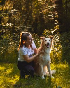 canisera Hund