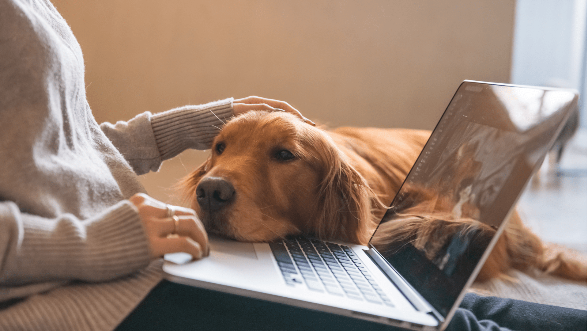 Zusatzfeedback