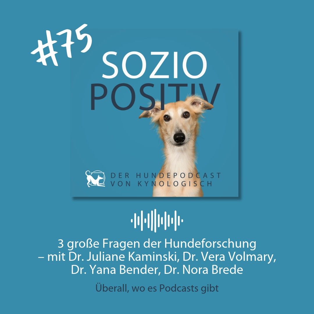soziopositiv75